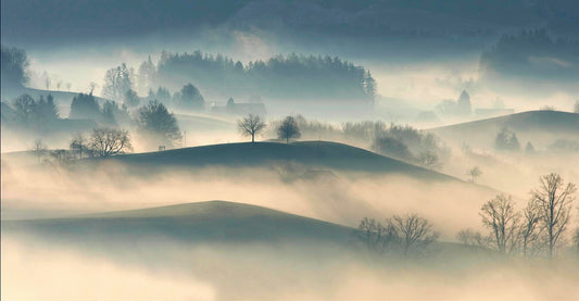 Landschaft