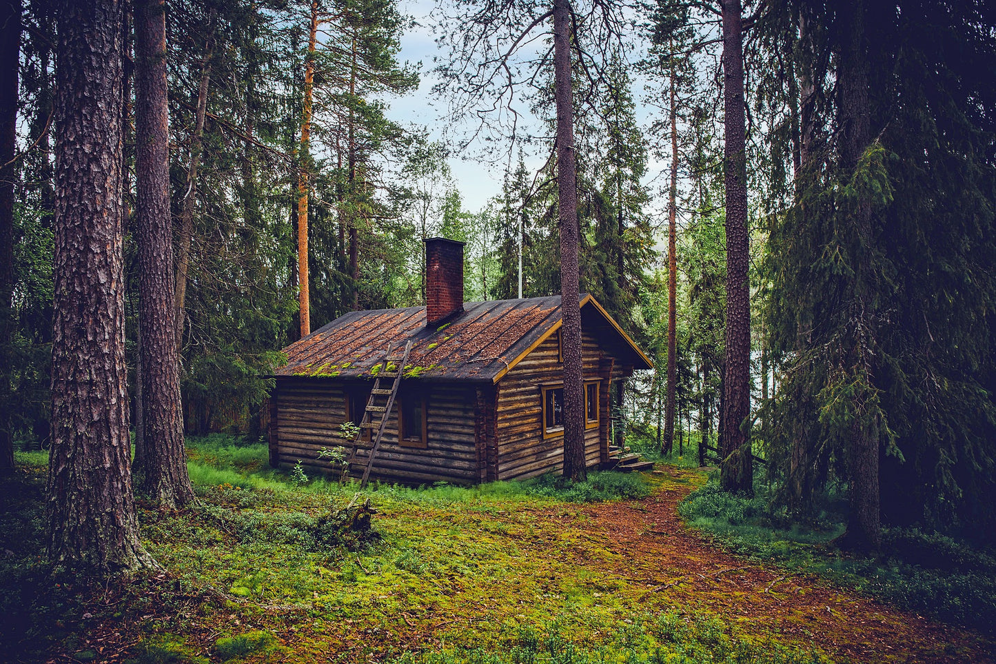 Landschaft