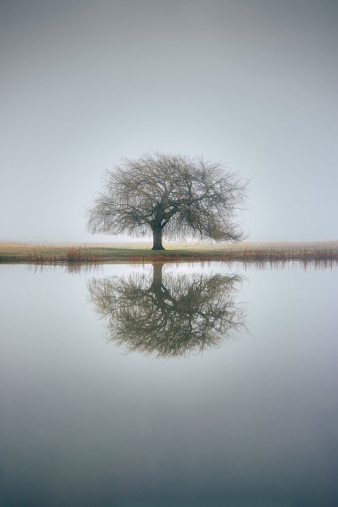 Landschaft