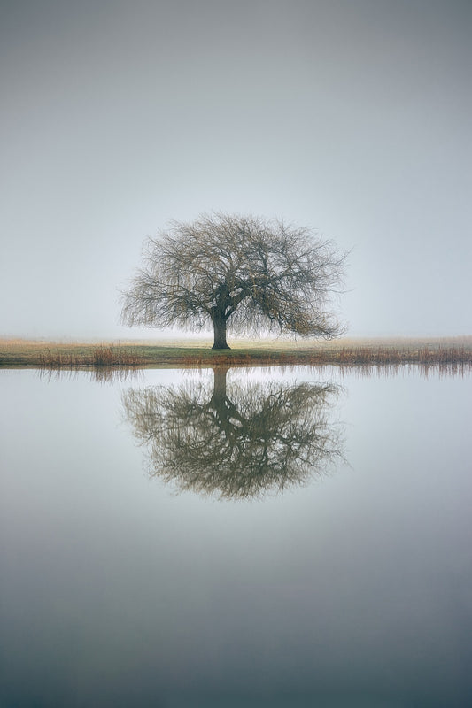 Landschaft